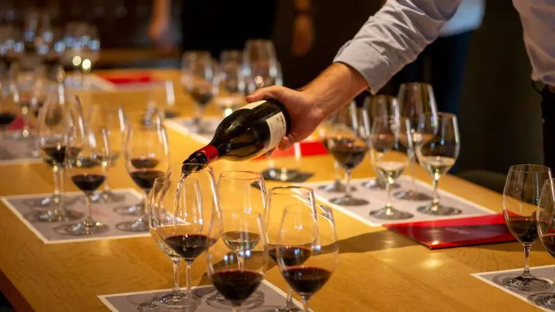 A number of wine glasses during a wine tasting session