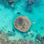 people snorkeling in Great Barrier Reef