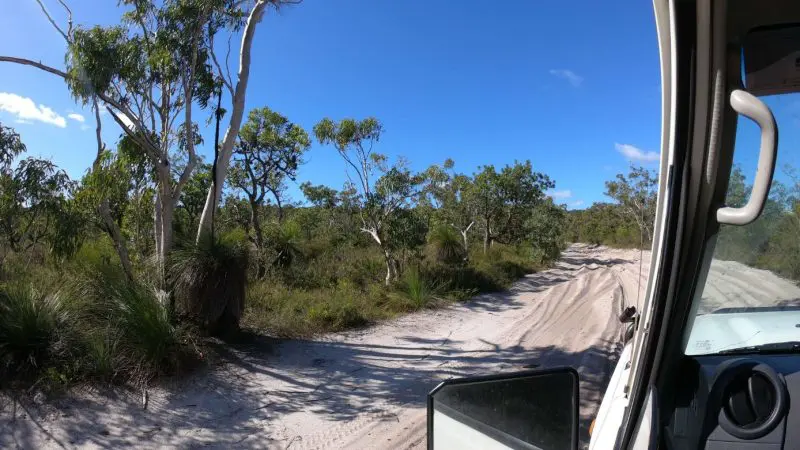 Sandy dirt track flanked by lush trees on a 2 Day K’gari Fraser Island Tag Along Adventure with Dingoes, vehicle mirror visible.