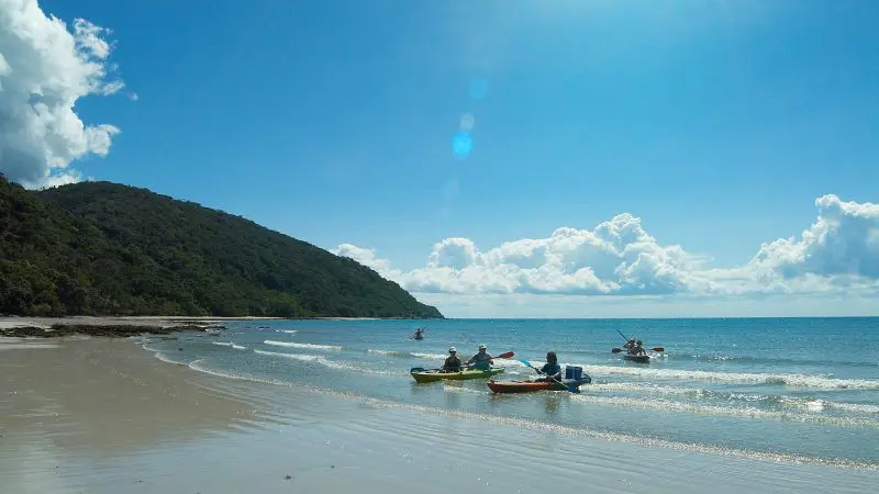 Adventurers kayaking by the Cape Tribulation coast under clear skies, lush green hills in the background—top-rated tropical tour scene.