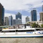 Scenic white river cruise boat with passengers provides return journey to Lone Pine Koala Sanctuary, entry ticket included.
