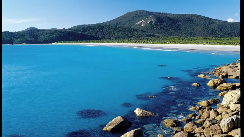 Stunning clear blue waters, pristine sandy beaches, and lush green hills featured on Go West Tours’ 1 Day Wilsons Promontory Tour.