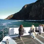 Four friends relax on a boat deck during a 1 Day Port Stephens Dolphin Watching tour by Colourful Collective Travel, spotting dolphins.