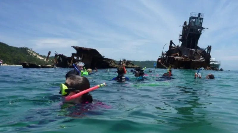 Snorkellers swim above vibrant coral and rusted shipwrecks on the Adventure Moreton Island Wrecks Tour, exploring crystal-clear waters.