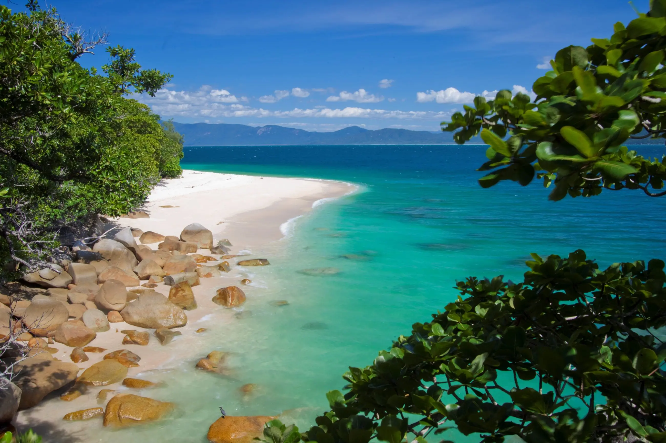 Turquoise waters and pristine white sand on Fitzroy Island, ideal for a top-rated Transfer Only getaway under clear blue skies.