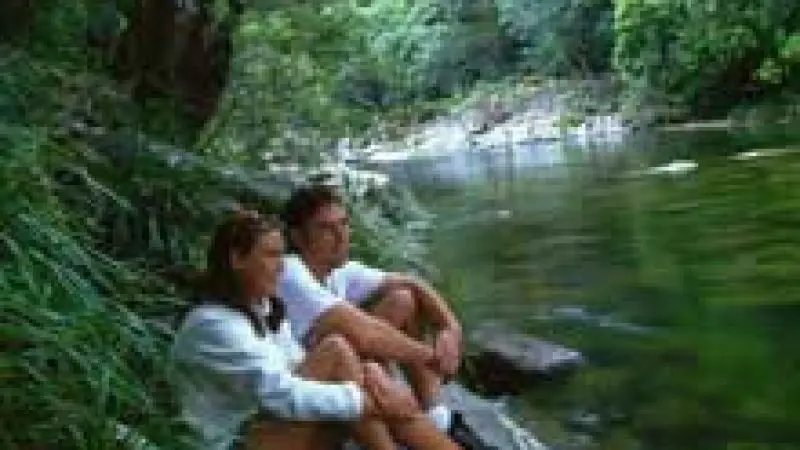 Two travellers relax on a riverside rock surrounded by lush Daintree rainforest during a premium Cape Tribulation small group tour.