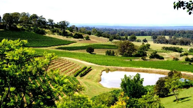 Lush green rolling hills, scenic vineyards, and a tranquil pond under sunny skies—ideal setting for a Hunter Valley Wine Tour day trip.