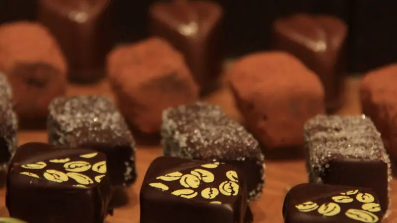 Premium selection of gourmet chocolates and truffles inspired by Yarra Valley Grazing Tour, beautifully displayed on rustic wood.