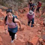 Adventurers trek a rugged, red dirt trail near Yulara on the 3 Night Rock The Centre tour, exploring iconic outback landscapes.