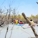 Adventurers kayaking a pristine waterway under blue skies during the Remote 1 Day K'gari Fraser Island Experience for nature lovers.