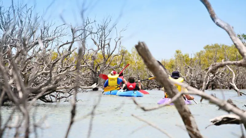 Adventurers kayaking a pristine waterway under blue skies during the Remote 1 Day K'gari Fraser Island Experience for nature lovers.