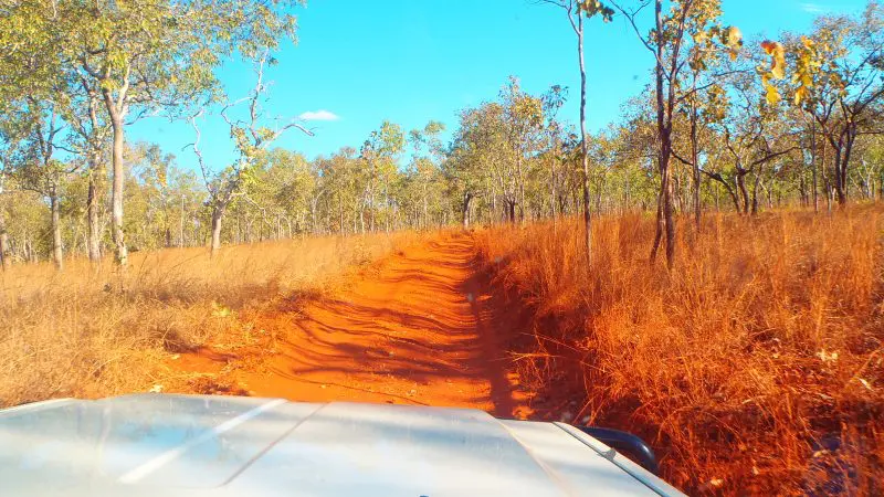 White SUV travels single file on a red dirt road near Kakadu Tour Hotel, surrounded by dry grass and outback trees in Australia.