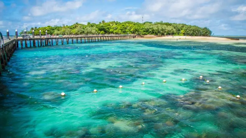 Crystal-clear turquoise waters dotted with buoys, a scenic wooden pier, and a vibrant green island—Half Day Green Island 1pm tour.
