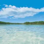 Crystal-clear shallow water in the foreground, lush green trees in the background—perfect setting for a Fraser Experience One Day Tour.
