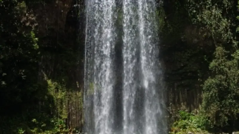 Woman enjoying Paronella Park pool beneath stunning waterfall, experiencing tropical Queensland adventure under clear blue skies.