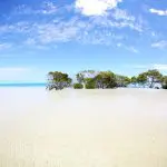 Experience pristine clear shallow waters, lush green mangroves, and vibrant blue skies on a remote 1 Day K’gari Fraser Island tour.