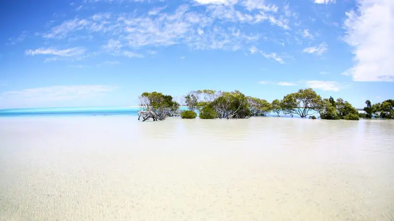 Experience pristine clear shallow waters, lush green mangroves, and vibrant blue skies on a remote 1 Day K’gari Fraser Island tour.