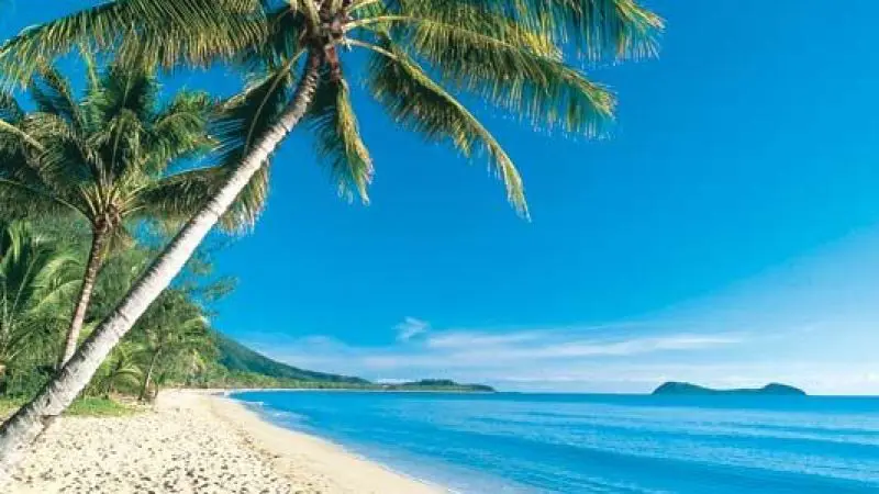 Immerse yourself in stunning palm trees arching over pristine sandy shores and tranquil turquoise waters on a Daintree Cape Tribulation tour.