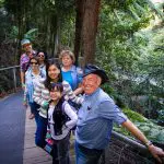 Happy group enjoying a 1 Day Blue Mountains Tour, smiling and posing together on a scenic forest boardwalk surrounded by lush greenery.