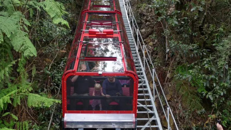 Red glass-roofed funicular train climbs a steep Blue Mountains track, surrounded by lush green forest on a 1 Day tour adventure.