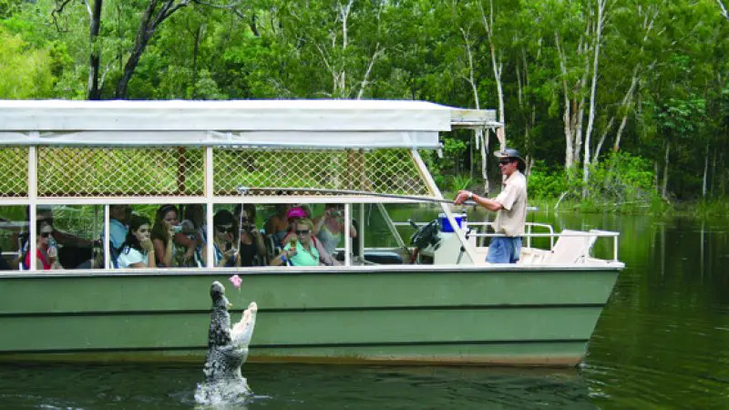 Hartleys Zootastic 5 tour guide feeds a leaping crocodile in lush greenery as tourists observe, crocodile feeding wildlife attraction.