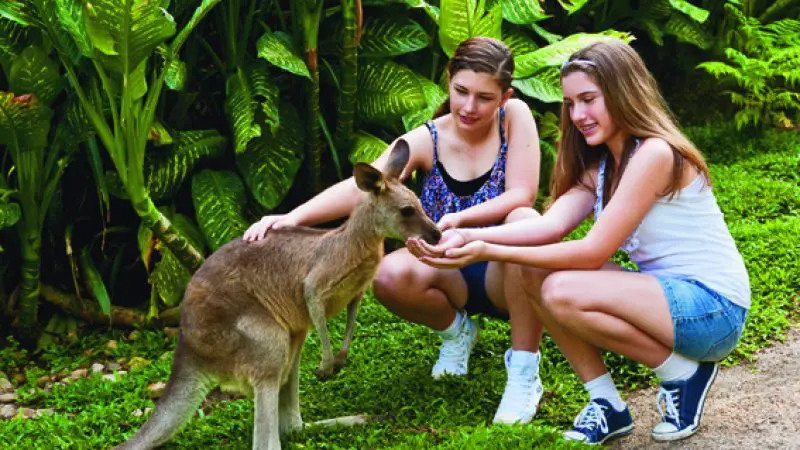 Two girls feeding a kangaroo surrounded by lush tropical plants at Kuranda Koala Gardens Park Entrance in Queensland, Australia.