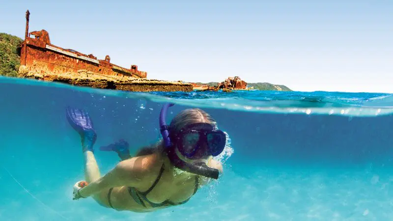 A woman snorkels in crystal-clear blue water by the iconic Moreton Island Wrecks under a sunny sky on an unforgettable adventure tour.