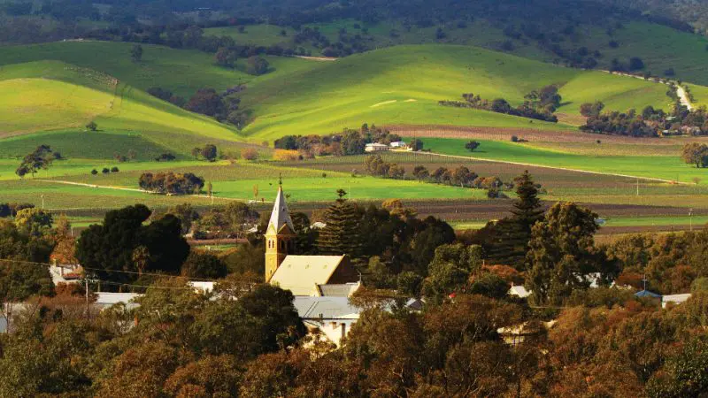 Scenic Barossa Valley village with church spire nestled among lush trees and rolling hills, seen on Hop On Hop Off wine tours.