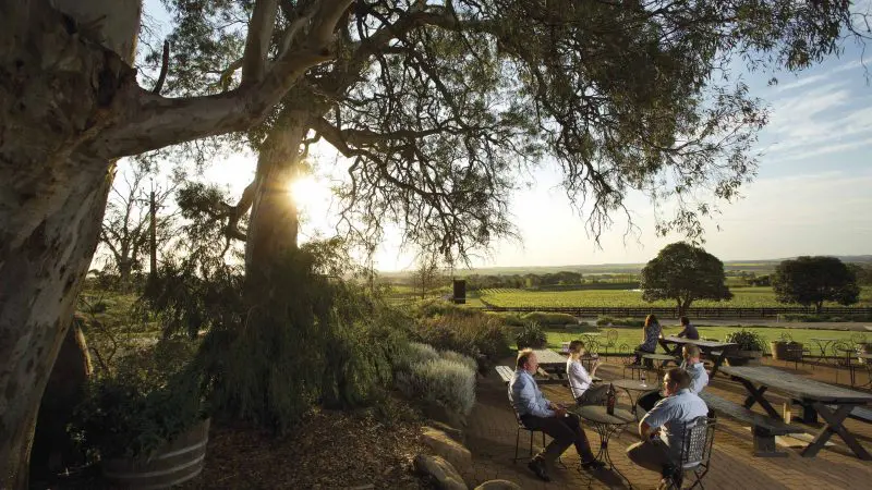 Guests unwind at sunlit vineyard tables on a Barossa Valley Hop On Hop Off Tour, surrounded by lush vines and scenic beauty.