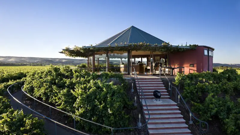 Modern vineyard tasting pavilion with staircase, iconic stop on McLaren Vale North Hop On Hop Off Tour, set beneath clear blue skies.