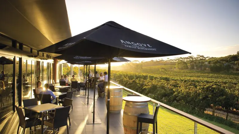 Guests enjoy al fresco dining under parasols at sunset, with vineyard views on the McLaren Vale North Hop-On Hop-Off Wine Tour.