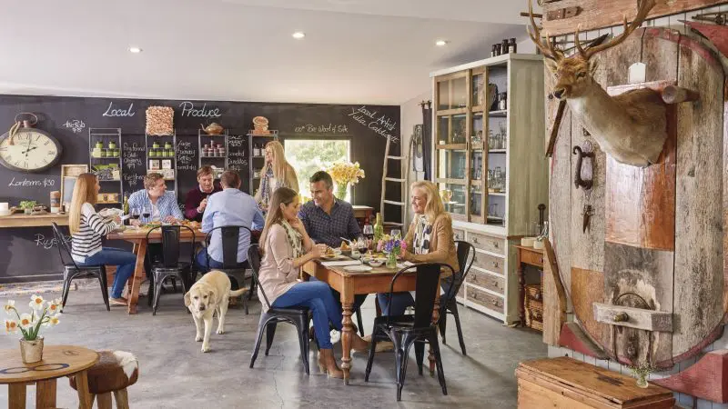 Guests enjoying a rustic café in Hahndorf on an Adelaide Hills Hop On Hop Off Tour, with a relaxed dog lying by their table.