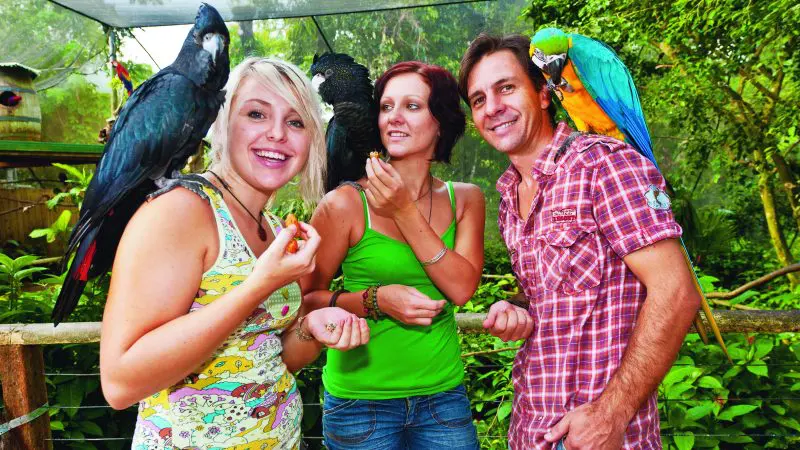 Three happy visitors interact with vibrant parrots during the Great Australian Wildlife Experience, surrounded by lush green scenery.