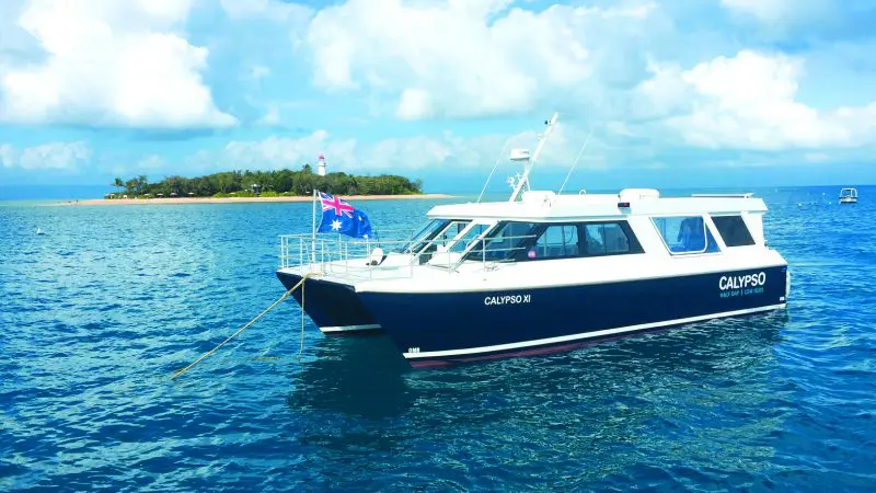 A sleek white and blue Calypso boat floats on crystal-clear waters near a tropical island—Half Day To Low Isles Reef Charters tour.