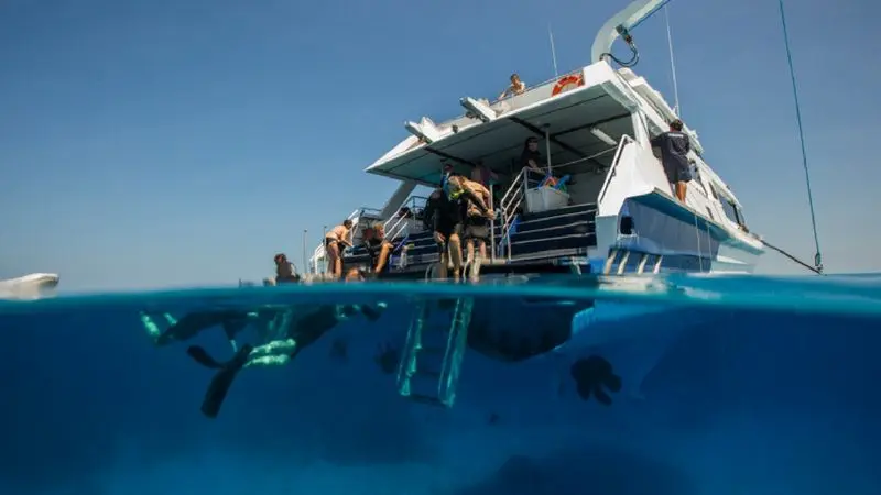Snorkellers explore crystal-clear blue waters by a boat as others begin their Budget PADI Open Water Course from the rear deck.
