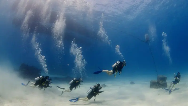 Five scuba divers explore the sandy sea floor on a 6-day, 4D3N Liveaboard PADI Advanced Open Water course adventure.