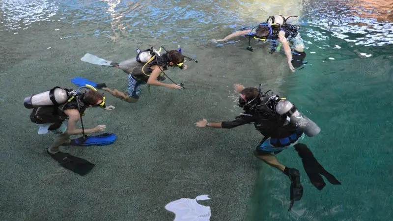 Four scuba divers hone essential diving skills in a crystal-clear pool during an intensive 1 Day PADI Refresher Course for certification.