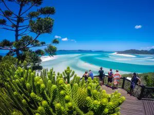 Travellers enjoying panoramic views from a wooden deck above turquoise waters, pristine white sand, and lush tropical greenery below during their Ocean Rafting Whitsundays Day trip