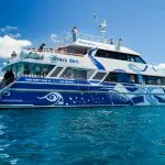 Aquaquest Outer Reef Dive: Stunning white and blue boat with ocean-inspired art floats on crystal-clear tropical water under sunny skies.