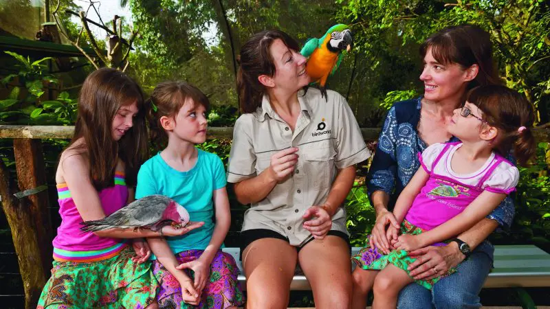 Six people—including four children and two women—sit with vibrant parrots on a bench in a lush, tropical rainforest environment.