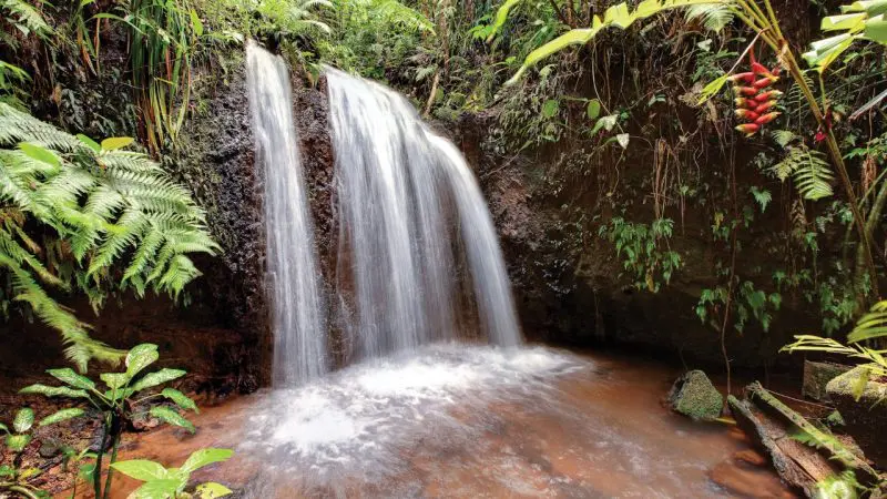 Waterfall in the north of Queensland at Paronella park