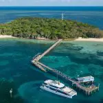 Discover a lush tropical island featuring pristine sandy beaches, a scenic pier, and the Green Island Transfers ferry on turquoise waters.