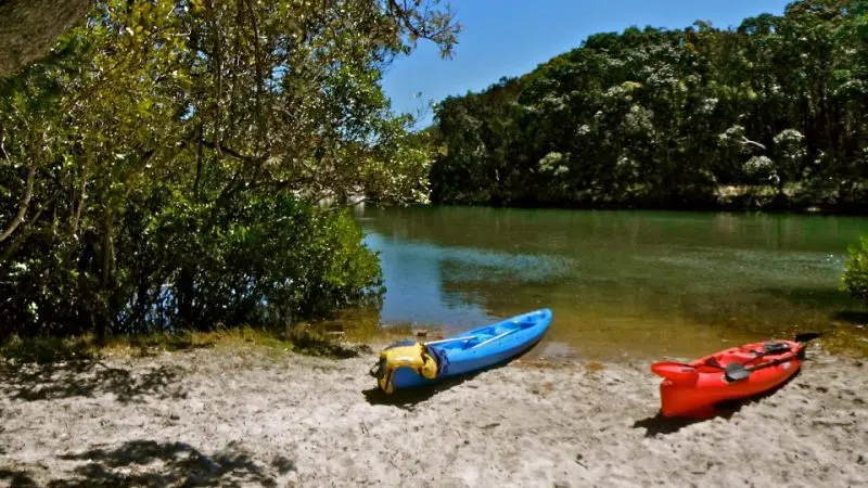 Two colourful kayaks sit on a sunlit, sandy bank of the peaceful Brunswick River, ideal for scenic kayaking tours beneath clear skies.