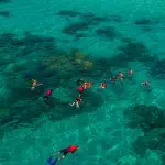 people snorkelling in Great Barrier Reef