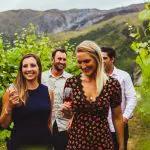 5b19faa39e901_3906_vines