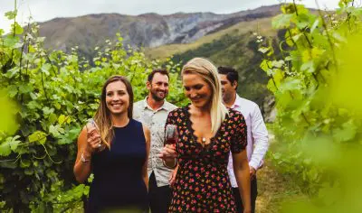 5b19faa39e901_3906_vines