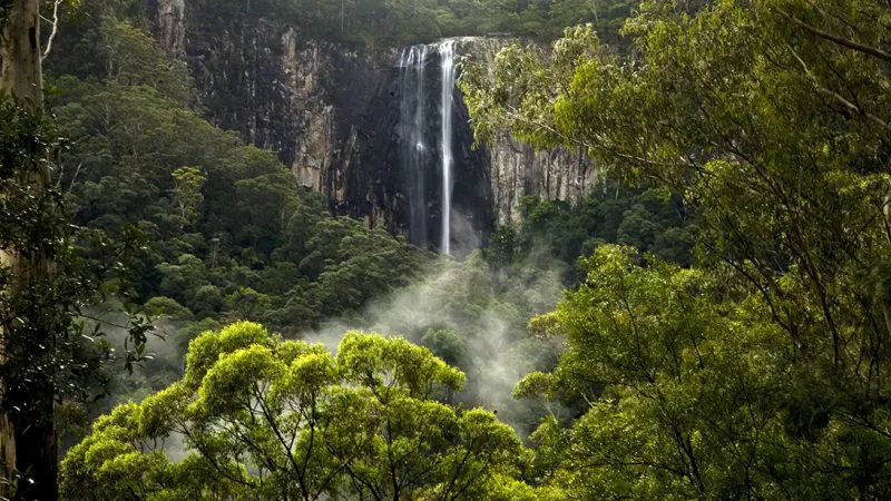 Experience the serene beauty of a tall waterfall flowing over rocky cliffs in a lush forest at Hinterland Magic Glow-worm Experience.