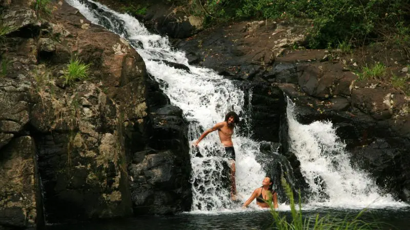 Two visitors admire a lush waterfall surrounded by vibrant greenery on the Hinterland Magic Glow Worm Experience rainforest tour.