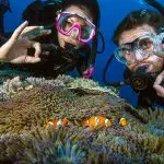 Two scuba divers giving OK signs next to vibrant coral reefs on a 4-day liveaboard learn to dive adventure, perfect for beginners.