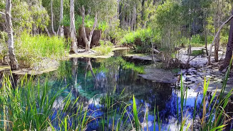 Pristine blue water edged by lush green reeds, stunning view during a 3-Day Kakadu Adventure Camping tour between June and September.